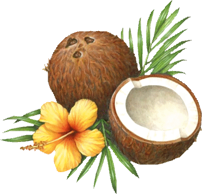 Les nombreuses utilisations de l'huile de coco Hdvpwm2l